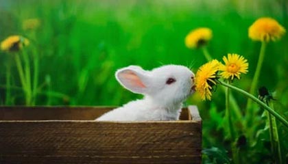 开云娱乐官网-博卡阵型扁平，后场传导缺乏层次，博卡的主场名称是什么